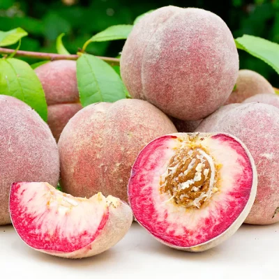 Roter Weinbergpfirsich Früchte