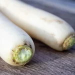 Daikon 'Minowase', Japanischer Rettich Samen – Bild 2