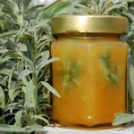 Zwergsalbei Pflanze – Bild 2